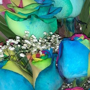 Meet your Posher, Yvonne